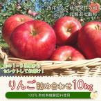 令和8年8月下旬頃より発送 りんご 10kg