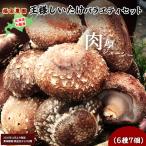 王様しいたけバラエティセット 6種7個