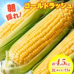 朝採れ 産ゴールドラッシュ4.5kg3L11本_kn028-002