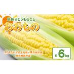 ふるさと納税 とうもろこし 先行予約 朝採り 約6kg （ おおもの ）2026年7月上旬 〜 8月中旬頃 茨城県下妻市