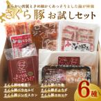 豚肉 セット さくら豚お試しセット 肉 加工品