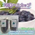 冷凍ハスカップ500g×2パック OSO001