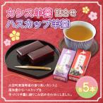 菓子 羊羹 カシス羊羹 ハスカップ羊羹詰合せ