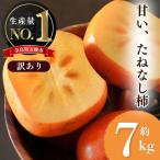 どっさり約7kg 訳あり たねなし柿 秋 旬