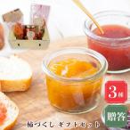 柿づくし セット おくりものフルーツ くだもの