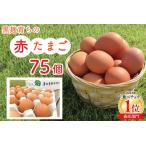 fu.... налог [ предшествующий предварительный заказ ][2026 год 2 месяц .. последовательный отправка ]| большая вместимость | чёрный .... красный Tama .75 шт l Tochigi префектура Mashiko блок ..... налог Tama . яйцо tamago красный Tama.. Tochigi префектура Mashiko блок 