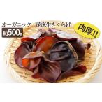 生きくらげきのこ菌床オーガニック有機JAS生きくらげ