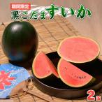 黒こだま すいか 2玉