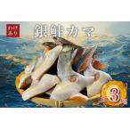 ふるさと納税 【訳あり】人気海鮮お礼品 銀鮭カマ 約3kg_鮭 さけ サケ シャケ 銀鮭 カマ 養殖 訳あり 規格外 不揃い 切身 魚 お弁当 おかず 冷.. 千葉県いすみ市