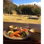 マクロビランチ+いすみ川SUPリバークルーズ体験 2名様