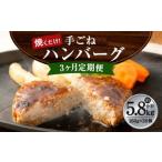 手ごね ハンバーグ 約5.76kg