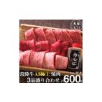 ふるさと納税 DU-2　焼き肉 ギフト セット 食べ比べ 3種類 焼肉 たれ付き 牛肉 和牛 常陸牛 贈答 サーロイン カルビ 牛もも もも厚切り ふるさと.. 茨城県水戸市