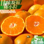 有田みかん 小粒 5kg