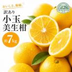 訳あり 小玉 美生柑 約7kg