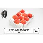 ふるさと納税 桃 もも 白桃 秀品 品種おまかせ 3kg フルーツ 化粧箱入 果物 2025年産 令和7年産 山形県産 桃 .. 山形県尾花沢市