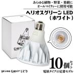 BN023-1 電球タイプの定番モデル10個セット