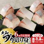 大和海商 大和ブリの切り身セット N072-YG0185
