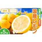 訳あり レモン 約5kg