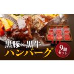 ふるさと納税 黒豚×黒牛ハンバーグ9個セット K098-005 薩摩 さつま 大人気牛肉 人気牛肉 鹿児島産牛肉 鹿児島県産牛肉 大人気黒毛和牛 .. 鹿児島県鹿児島市