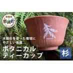 木頭杉のボタニカルティーカップ -BOTANICAL