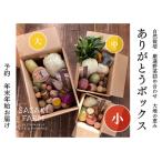 野菜詰合せ 自然栽培 佐々木ファーム ありがとうBOX中