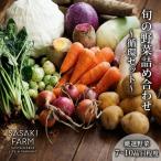 野菜詰合せ 佐々木ファーム 自然栽培