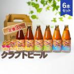 クラフトビールセット 定番3種 Lake