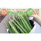 アスパラ LM サイズ 600g
