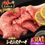 長崎名物 レモンステーキ 2人前