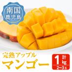 完熟アップルマンゴー 紅 計1kg