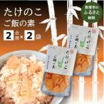 藤原竹工房 たけのこご飯の素2合用×2袋
