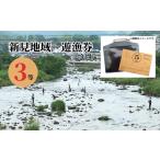 新見地域 遊漁券 3等 使用期限:2026年3月1日~2027年2月末日…