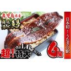 ふるさと納税 【数量限定】超特大!鹿児島県産 山田水産の霧島湧水鰻(計1400g以上・236g以上×6尾) うなぎ 鰻 ウナギ 6尾 国産 九州産 .. 鹿児島県志布志市