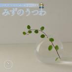 みずのうつわ SMO001