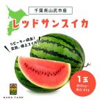 レッドサンスイカ 約8kg~約9.8kg×1玉