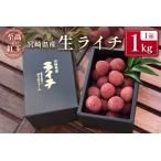 fu.... налог Miyazaki префектура производство сырой laichi[. высота. . шар ] итого 1kg {2026 год 6 месяц последняя декада ~ отправка } популярный местного производства редкий фрукты . подарок подарок [C365-26] Miyazaki префектура новый . блок 