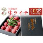 fu.... налог [2026 год отправка ] предшествующий предварительный заказ < ограничение 50 комплект > Miyazaki префектура производство сырой laichi[. высота. . шар ] крупный 12 штук популярный местного производства редкий фрукты . подарок подарок [.. Miyazaki префектура новый . блок 