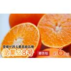 愛果28号 化粧箱 6kgまどんな みかん