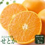 ふるさと納税 【入荷次第順次発送】 JAえひめ中央 せとか5kg 赤秀・青秀 いずれかL〜3L 露地せとか セトカ 瀬戸香 みかん ミカン 蜜柑 果物 くだ.. 愛媛県松山市