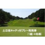 ゴルフグッズ クラブ ゴルフ利用券 エリエール