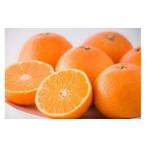 ふるさと納税  【紅まどんな】紅まどんな M ~4L 5kg [ご家庭用] 愛媛県松山市【FA0402】 愛媛県松山市