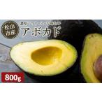 アボカド 800g