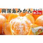 興居島みかん S~L サイズ 約3kg