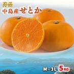 中島産 せとかM~3Lサイズ 5kg