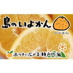 伊予柑 7kg