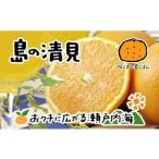 清見タンゴール 4kg
