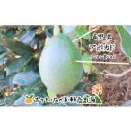 希望の島 アボカド 1kg