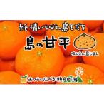 ショッピング甘平 ふるさと納税 【甘平】【2026年2月中旬から発送予定】希望の島 ジャンボ甘平 特大（6L以上）約1kg（2玉）愛媛県松山市【FT0291】 愛媛県松山市