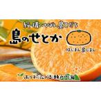 せとか 約2kg