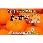 ショッピング甘平 ふるさと納税 【甘平】【2026年2月中旬から発送予定】希望の島 甘平(かんぺい) 家庭用 約3kg 愛媛県松山市【FT033_x】 愛媛県松山市